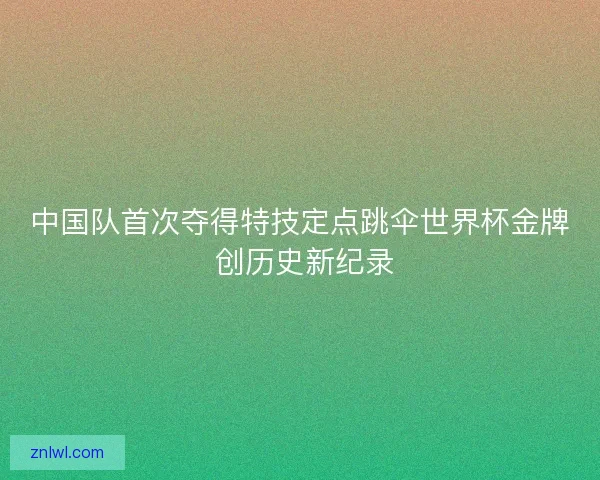 中国队首次夺得特技定点跳伞世界杯金牌 创历史新纪录