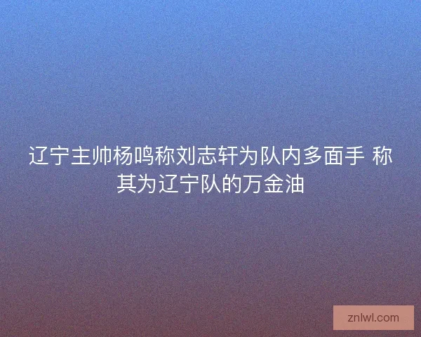 辽宁主帅杨鸣称刘志轩为队内多面手 称其为辽宁队的万金油